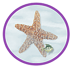 Starfish Gift Shop filled with Items By Susan Hastings
